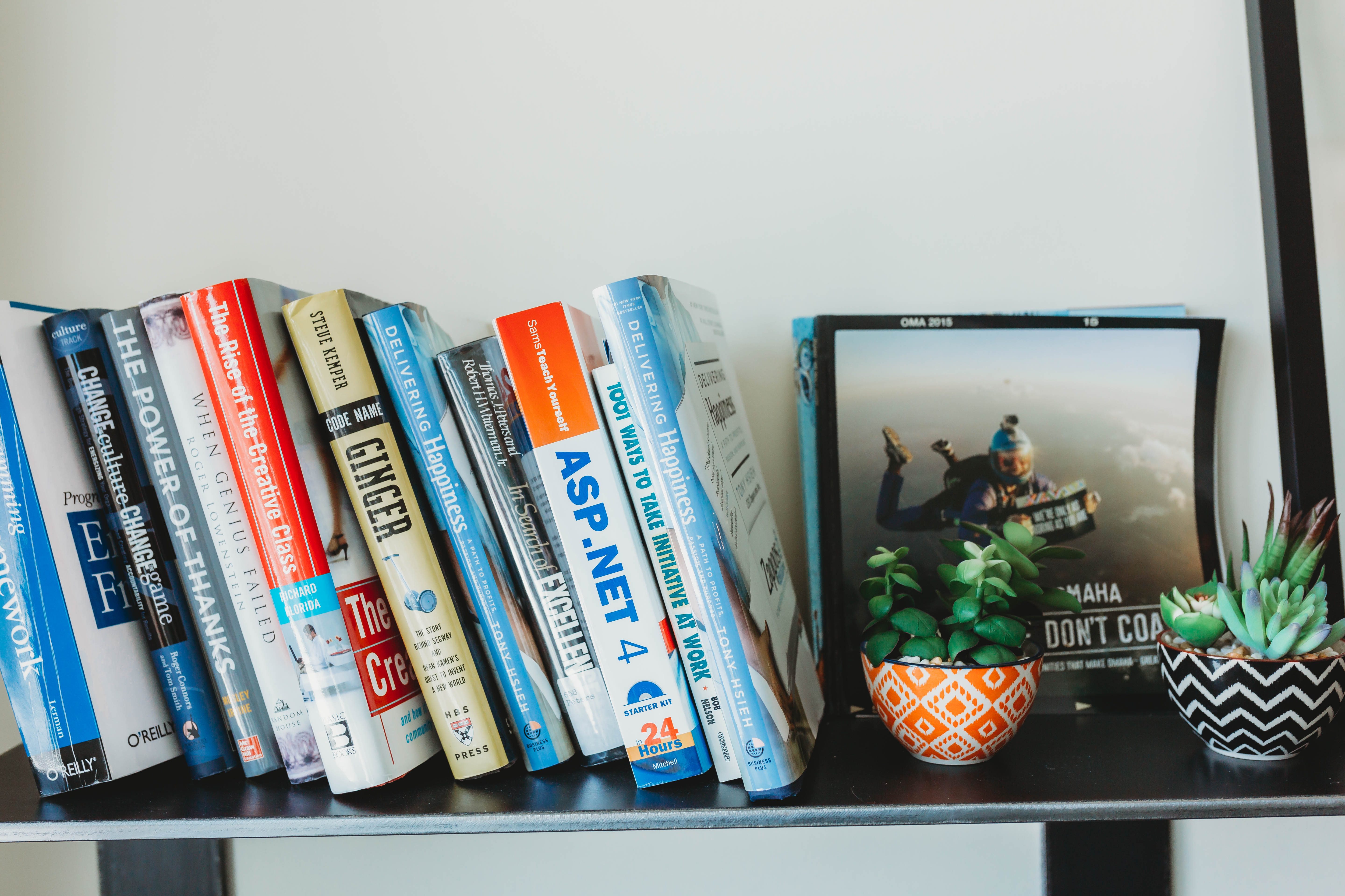 Books on a bookshelf with a plant at the end of the shelf