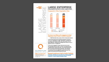 Large Enterprise Engagement Profile (5,000+ Employees)