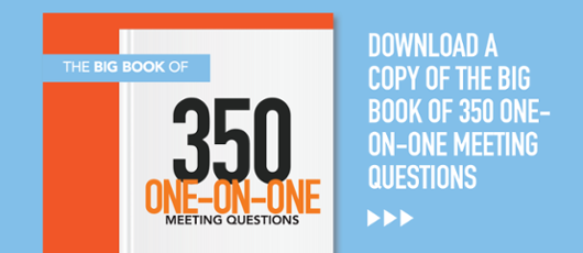 big book of one on one meeting questions